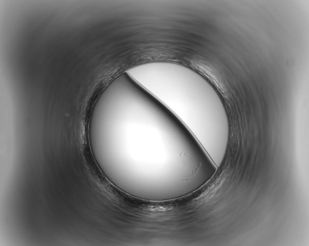 X0000096420453200801241007