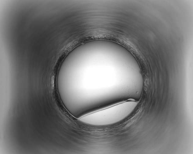 X0000096420454200801241007