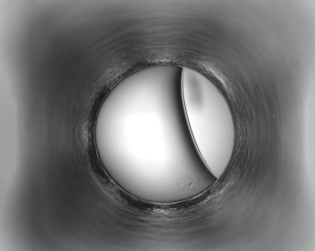 X0000096420455200801241007