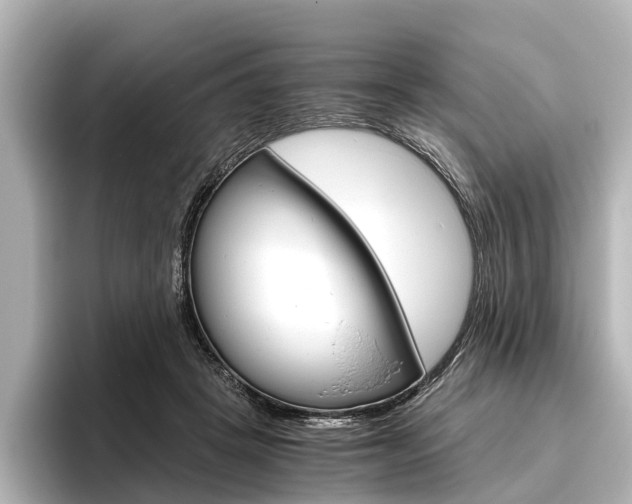X0000096420457200801241007