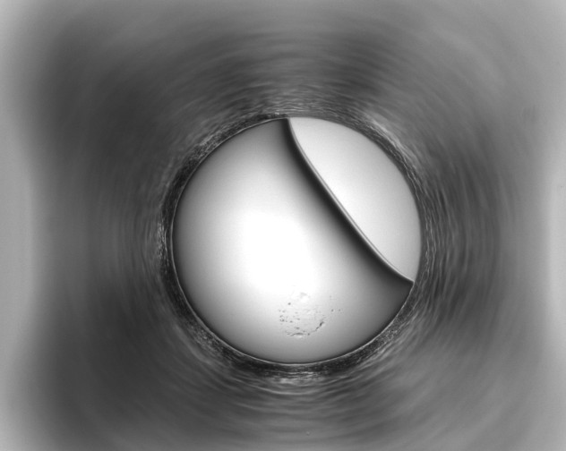 X0000096420459200801241007