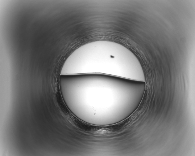 X0000096420460200801241007