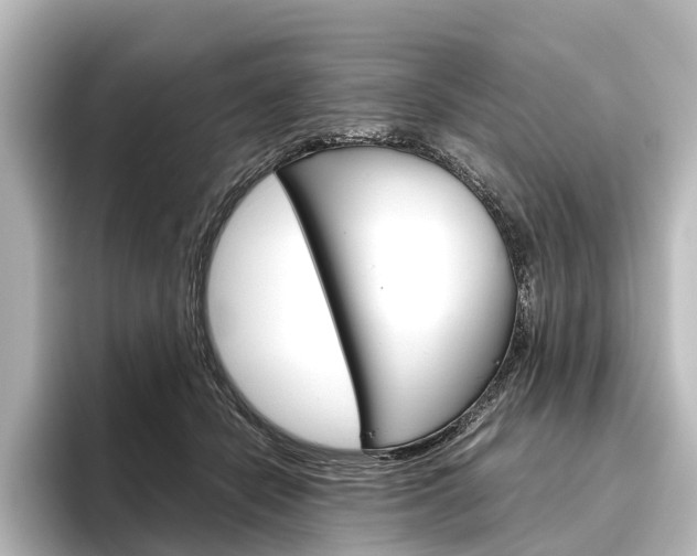 X0000096420462200801241007