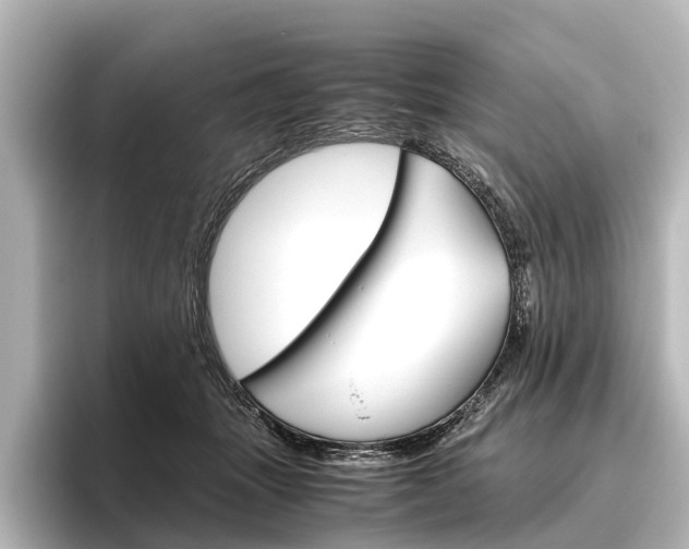 X0000096420463200801241007