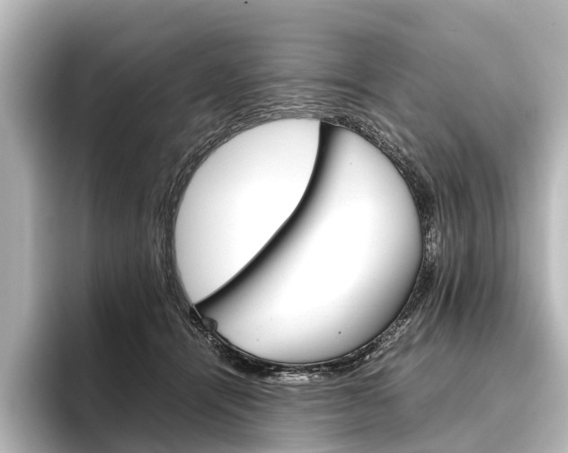 X0000096420464200801241007