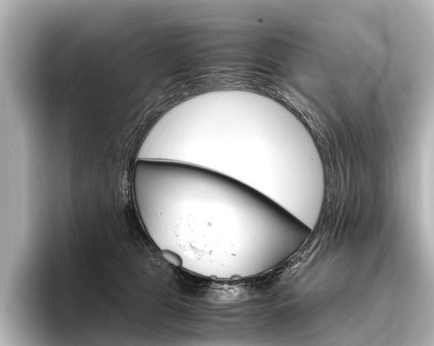 X0000096420469200801241007