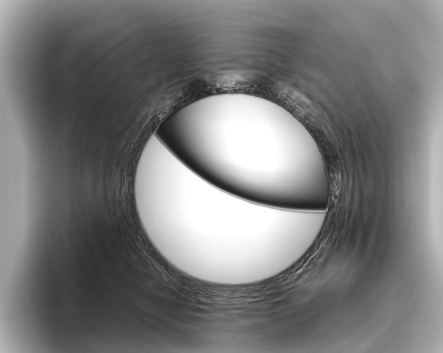 X0000096420470200801241007