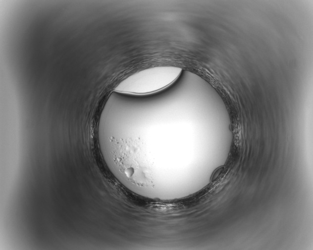X0000096420472200801241007