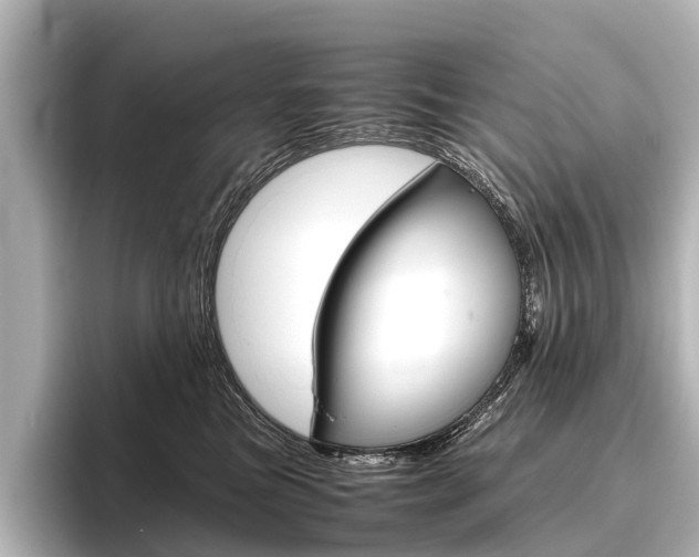X0000096420473200801241007