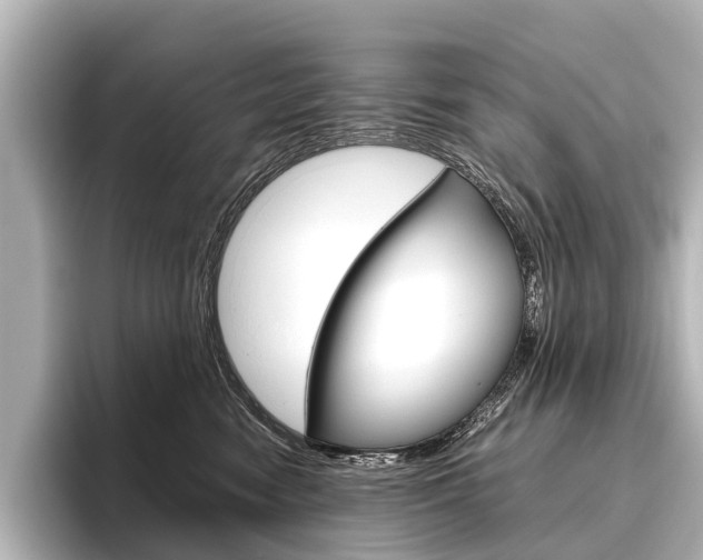 X0000096420474200801241007
