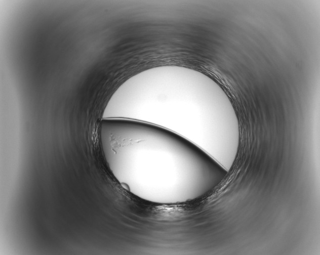 X0000096420477200801241007