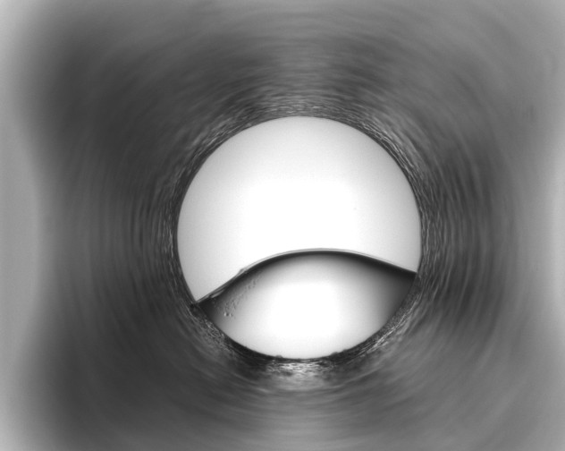X0000096420478200801241007
