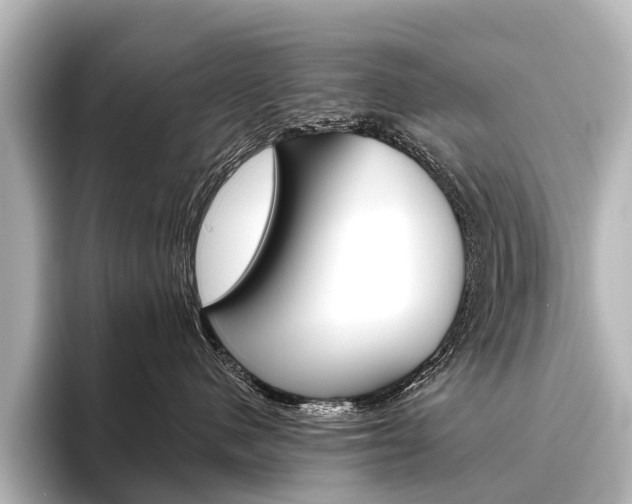 X0000096420480200801241007