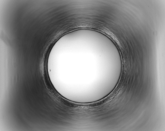 X0000096420482200801241006