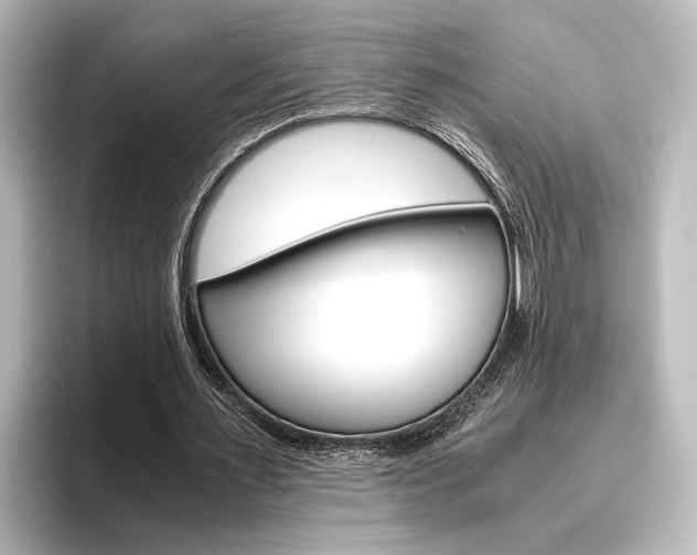 X0000096420483200801241006