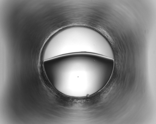 X0000096420484200801241006