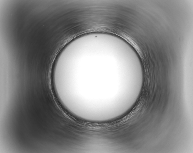 X0000096420485200801241006