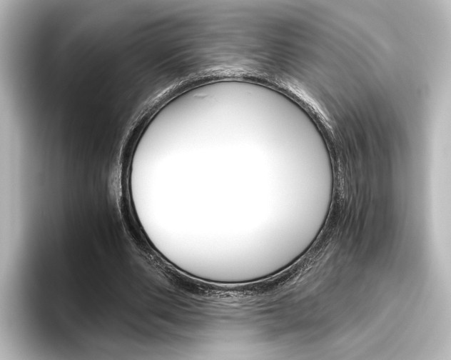 X0000096420486200801241006