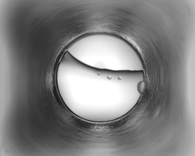 X0000096420487200801241006