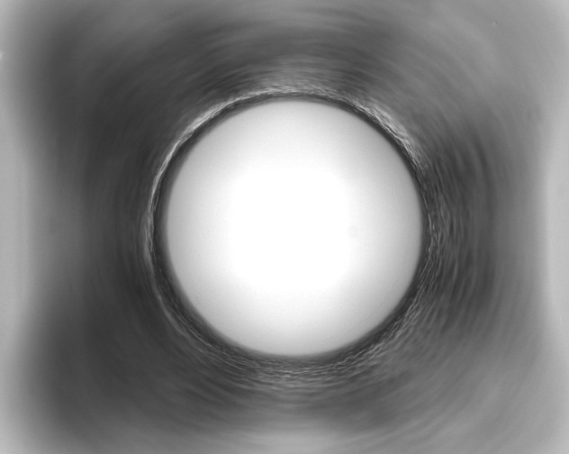 X0000096420488200801241006