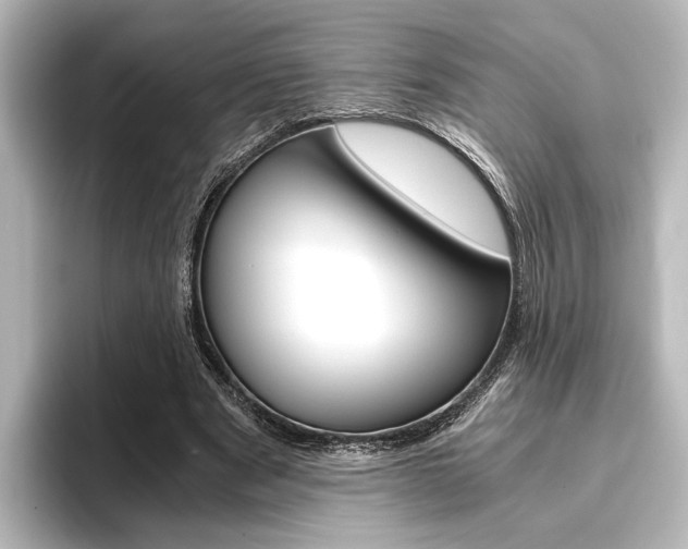 X0000096420489200801241006