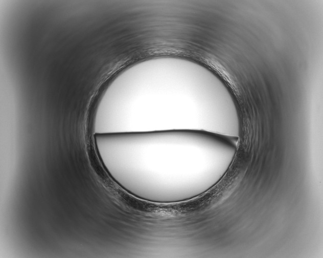 X0000096420490200801241006