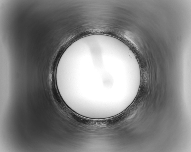 X0000096420491200801241006