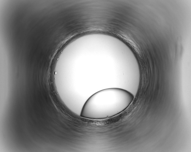 X0000096420492200801241006