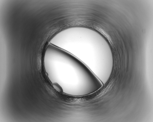 X0000096420493200801241006