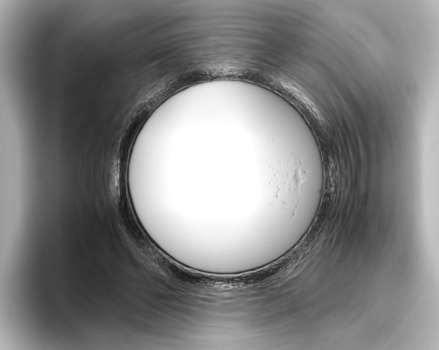 X0000096420494200801241006