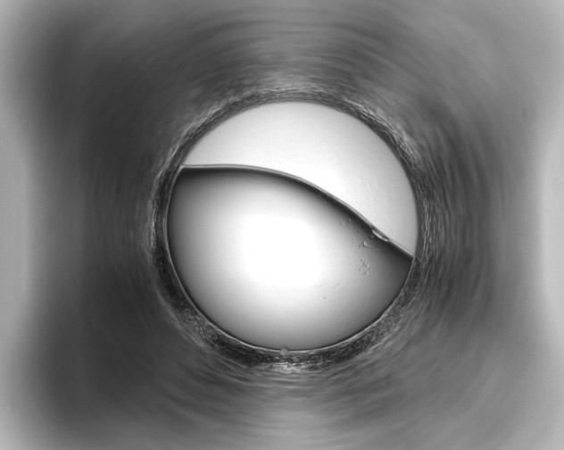 X0000096420496200801241006