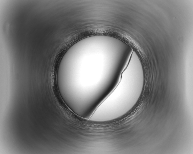 X0000096420497200801241006