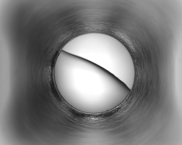 X0000096420498200801241006