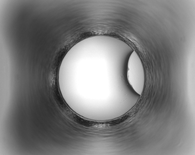 X0000096420499200801241006