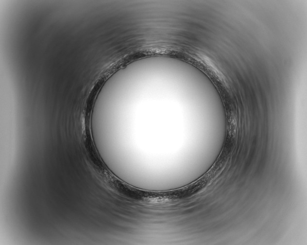 X0000096420500200801241006