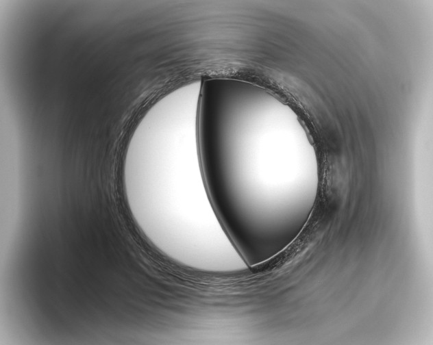 X0000096420501200801241006