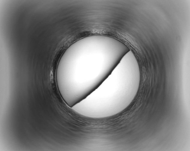 X0000096420502200801241006