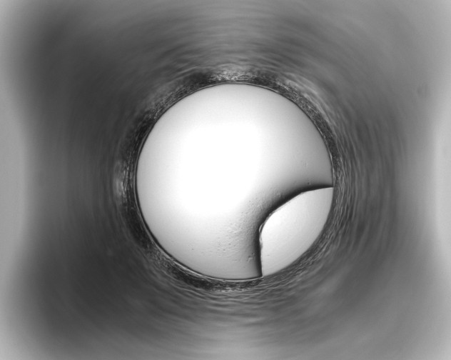 X0000096420503200801241006