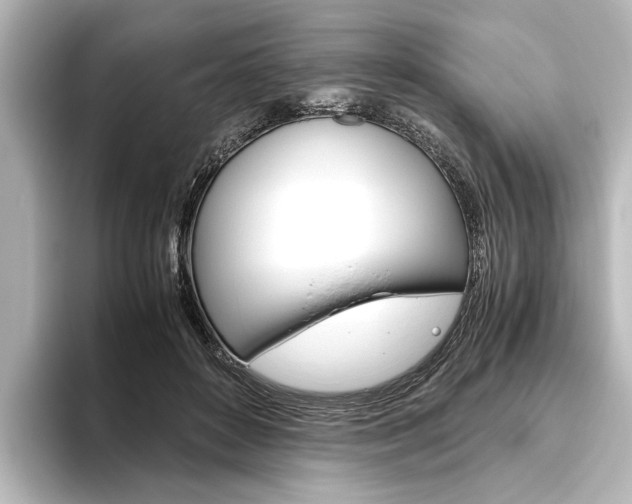 X0000096420504200801241006