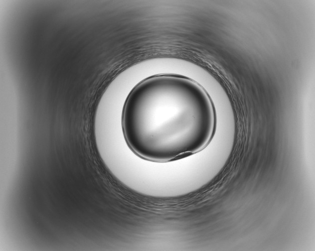 X0000096420505200801241006