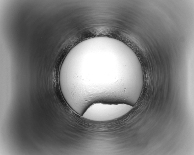 X0000096420506200801241006