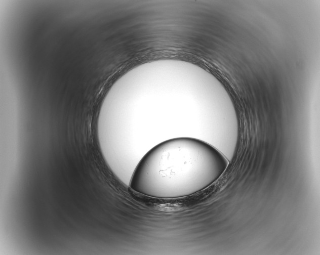 X0000096420508200801241006