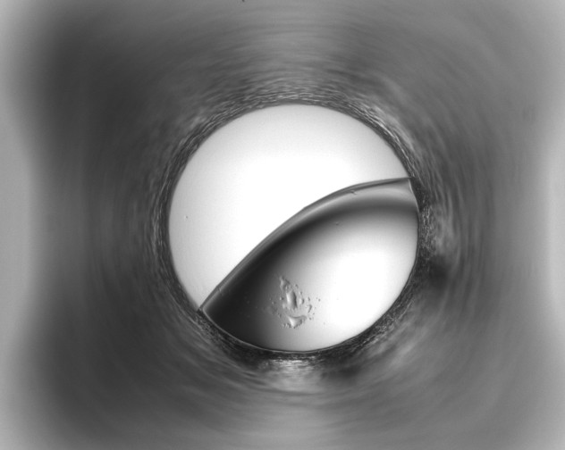 X0000096420509200801241006
