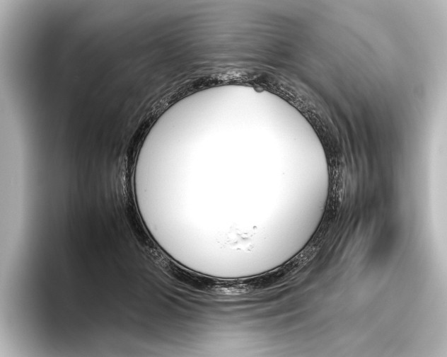 X0000096420510200801241006