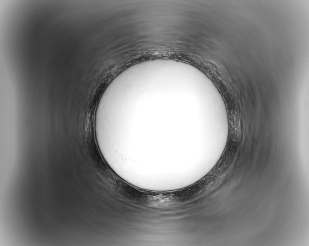 X0000096420511200801241006