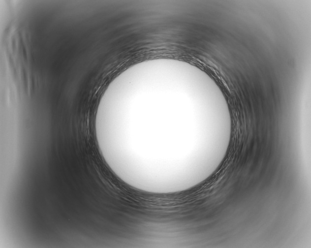 X0000096420512200801241006
