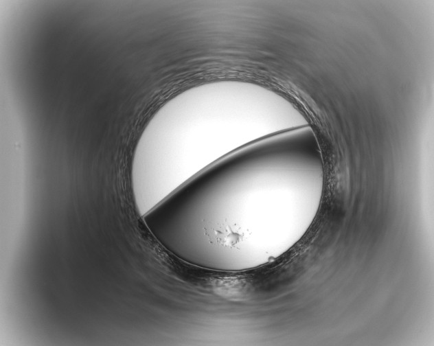 X0000096420513200801241006