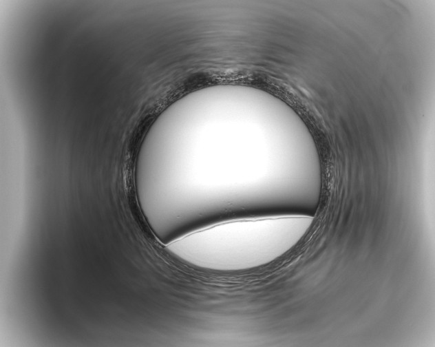 X0000096420515200801241006