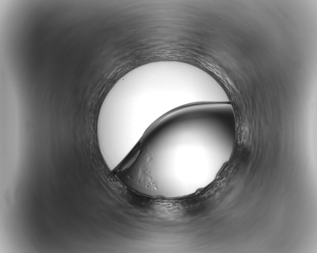 X0000096420521200801241006