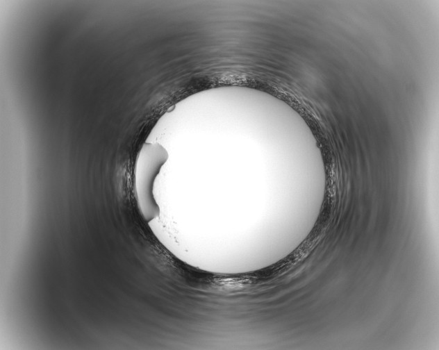 X0000096420522200801241006